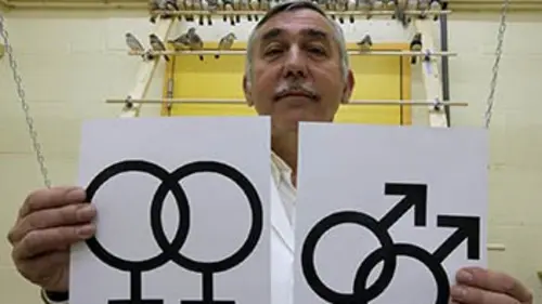 Homo ou hétéro, est-ce un choix ?