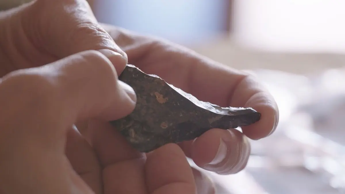 Homo sapiens les nouvelles origines