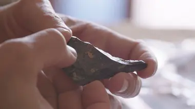 Homo sapiens les nouvelles origines