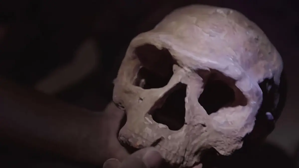 Homo sapiens les nouvelles origines