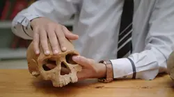 Visuel de Homo sapiens, les nouvelles origines