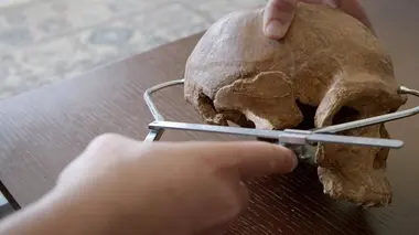 Homo sapiens, les nouvelles origines