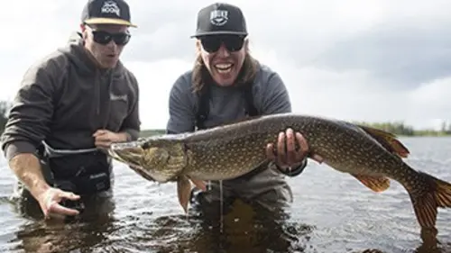 Hooké Colombie-Britannique Sud