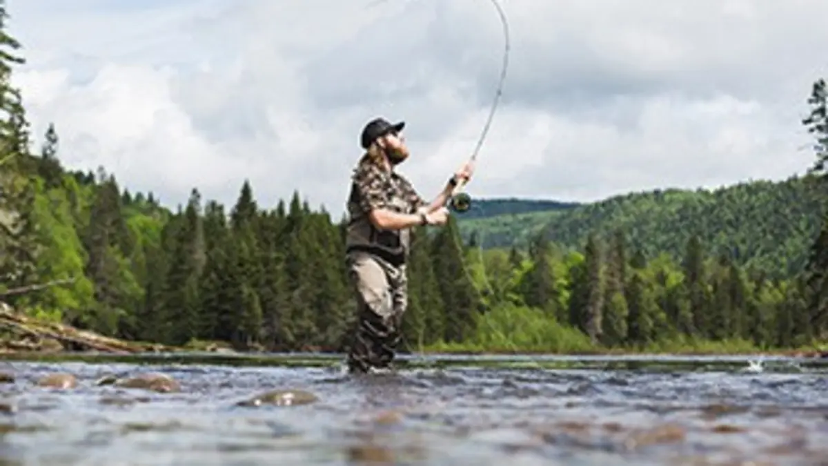 Hooké Gaspésie : bar rayé dans la Baie-des-Chaleurs