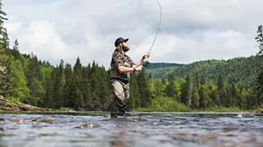 Gaspésie : bar rayé dans la Baie-des-Chaleurs