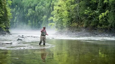 Chili : une aventure sans pareille