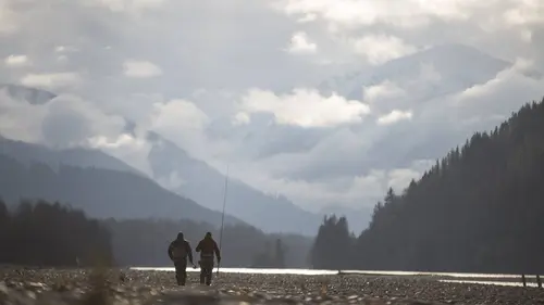 Hooké Bonaventure : découvrir le bar rayé en Gaspésie