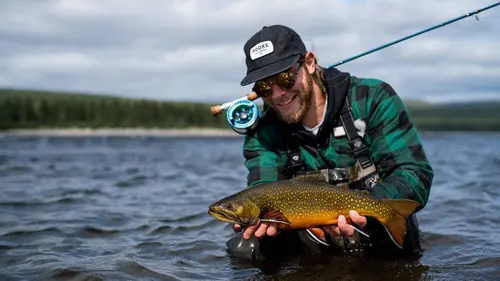 Hooké à la chasse Prélever son premier orignal