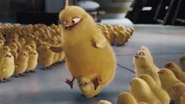 Hop