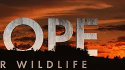 Hope For Wildlife