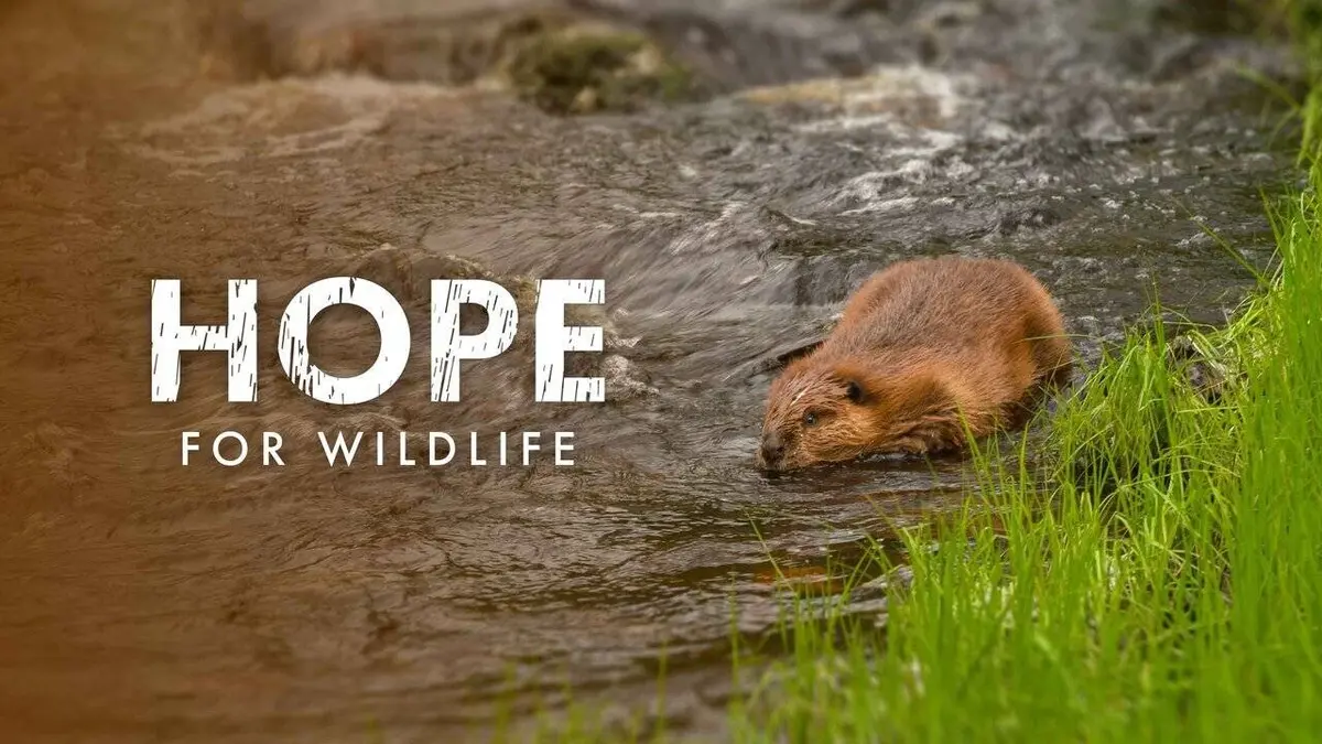 Hope For Wildlife S09E04 Allées et venues