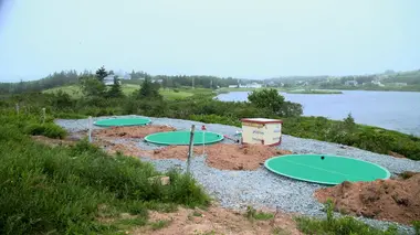 Hope For Wildlife S09E01 Espoirs volés