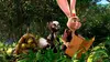 Hopper et le secret de la marmotte