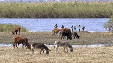 Botswana, le joyau africain