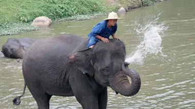 La Thaïlande, fleur de l'Asie