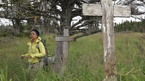 Hors circuits Une côte française