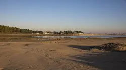 Hors de contrôle La tempête Xynthia