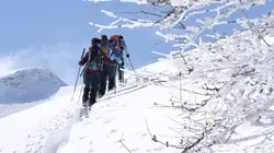 Hors-piste, sensible et sauvage