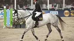 Sur Eurosport 1 à 20h39 : Horse Excellence