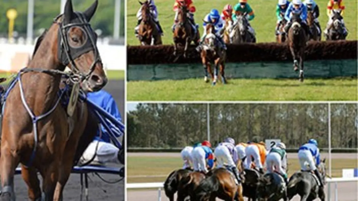 Horse Racing Time