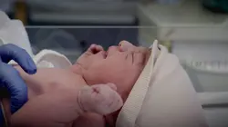 Horta Brugmann, histoire d'un hôpital