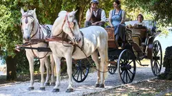 Hôtel Portofino S01E01 Premières impressions