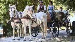 Hôtel Portofino S01E02 Les leçons