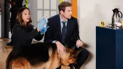 Hudson et Rex S03E02 Chasse à l'homme