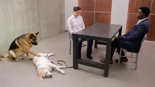 Hudson et Rex S04E05 Rex en actions en streaming