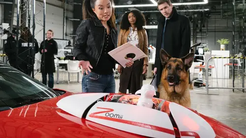 Hudson et Rex S02E11 Jaune détonateur en streaming