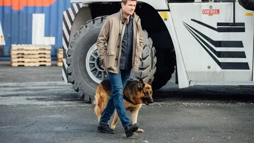 Hudson et Rex S03E10 Le feu aux poudres en streaming