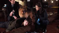 Visuel de Hudson et Rex
