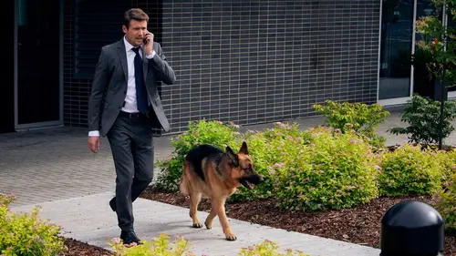 Hudson et Rex S02E19 Harcèlement