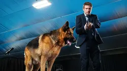 Visuel de Hudson et Rex