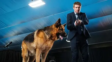 Concours canin