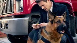 Hudson et Rex S01E07 Essai clinique