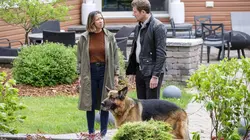 Hudson et Rex S04E02 Pop star