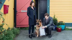 Hudson et Rex S03E05 Overdose