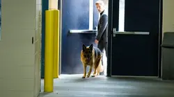 Hudson et Rex S04E08 Hockey corral en streaming