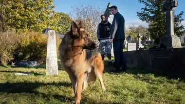 Hudson et Rex S01E03 Hantés par le passé
