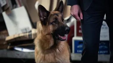 Hudson et Rex S01E05 L'amie des bêtes