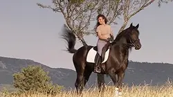 Visuel de Humanima