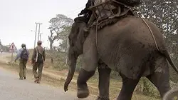 Visuel de Humanima