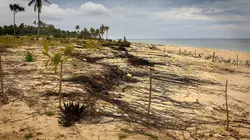 Hunga Tonga, la colère du volcan des abysses