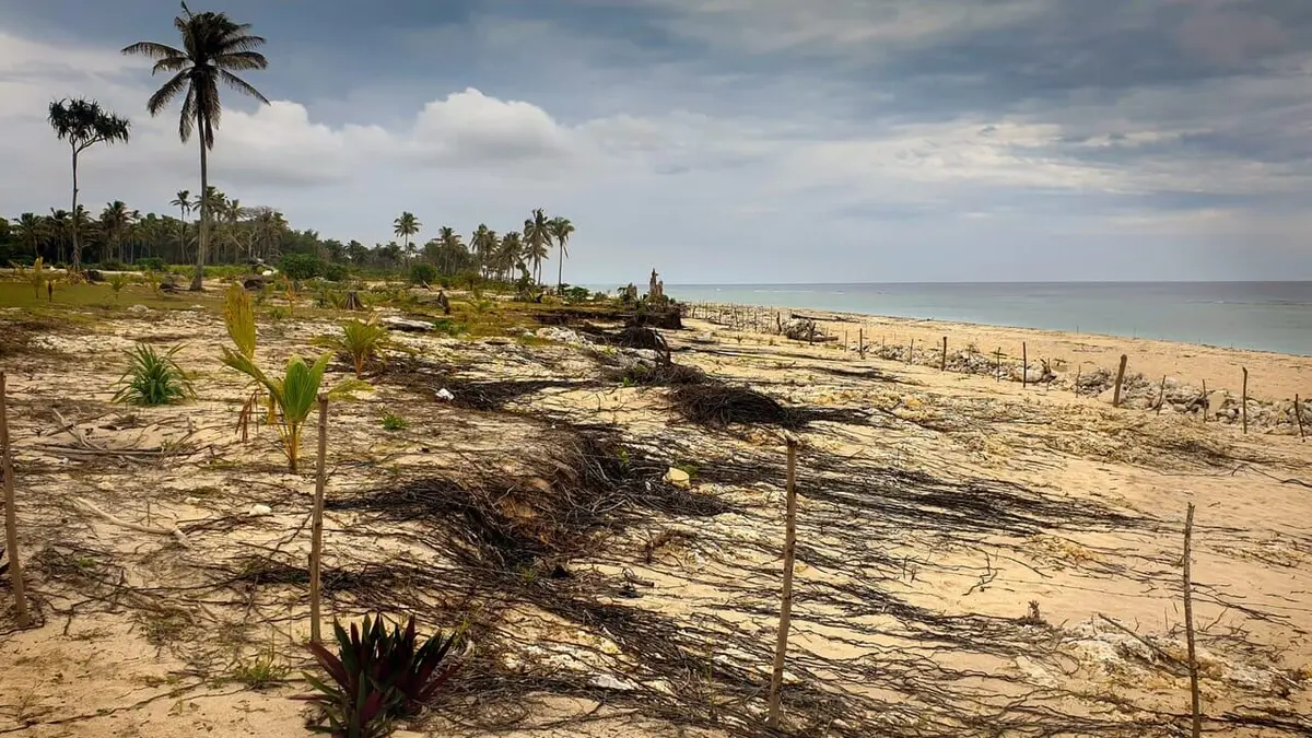 Hunga Tonga, la colère du volcan des abysses