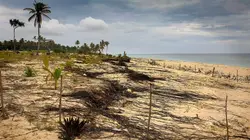 Hunga Tonga, la colère du volcan des abysses