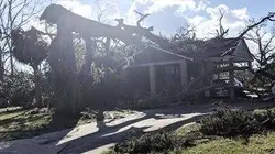 Visuel de Hurricane Man