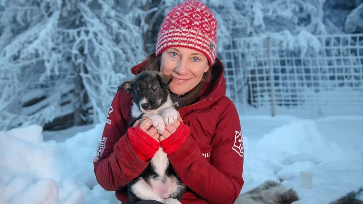 Huskies, top départ !