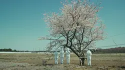 Visuel de I'm so Sorry