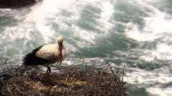 Visuel de Ibériquement vôtre